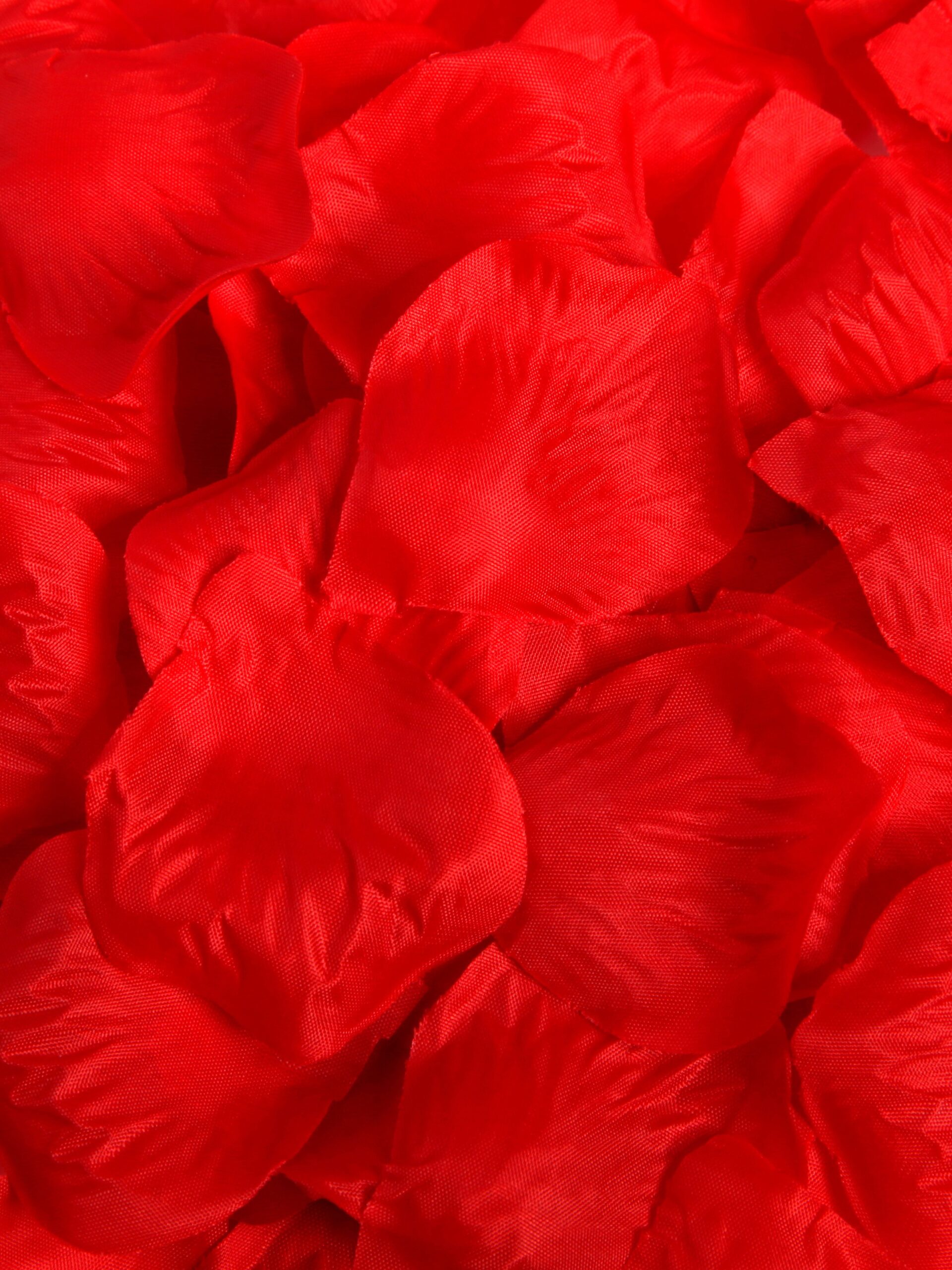 Lovehoney Oh! Romantic Red Rose Petals - Image 2