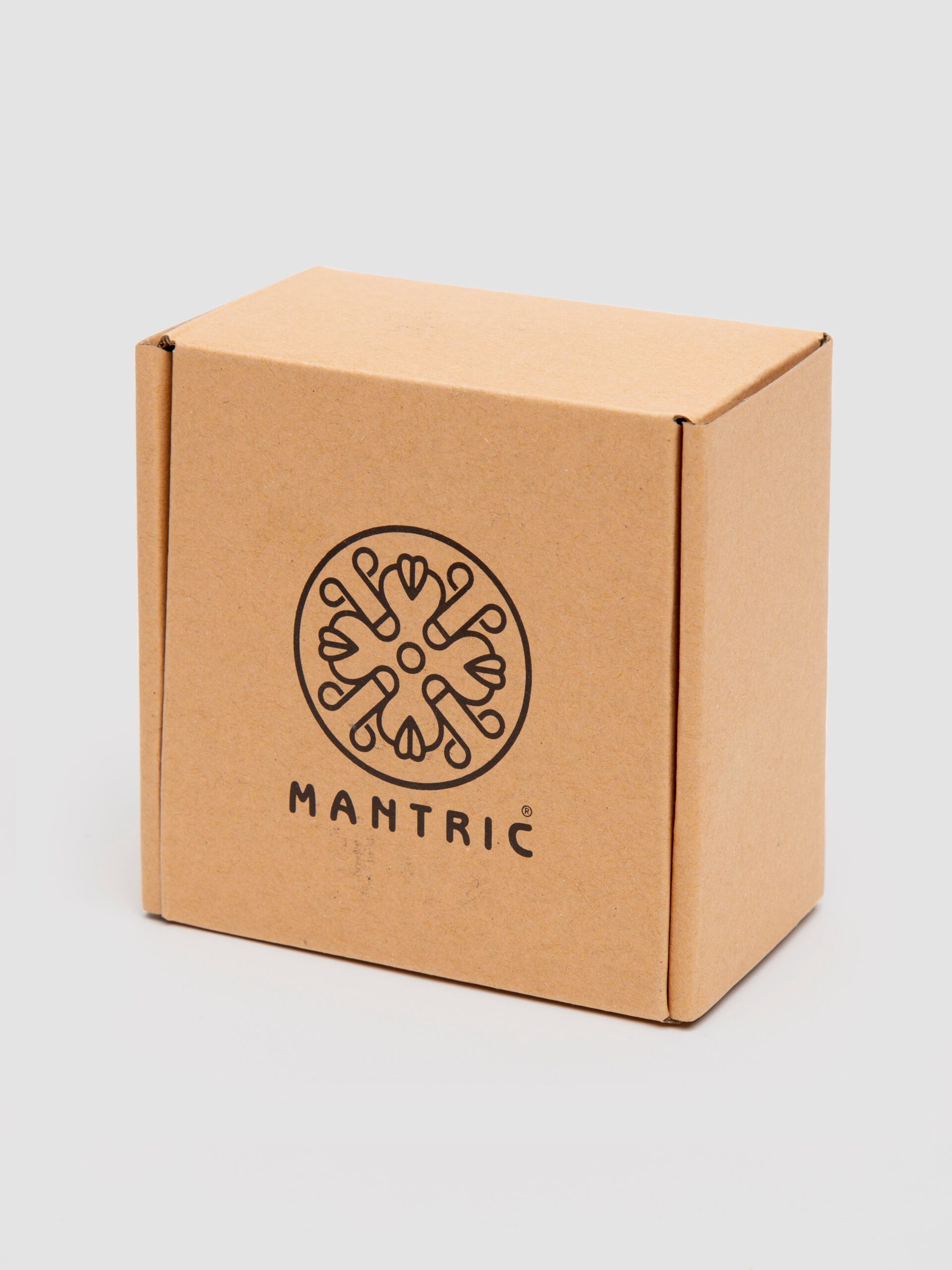 Mantric Rechargeable Remote Control Panty Vibrator - Image 5